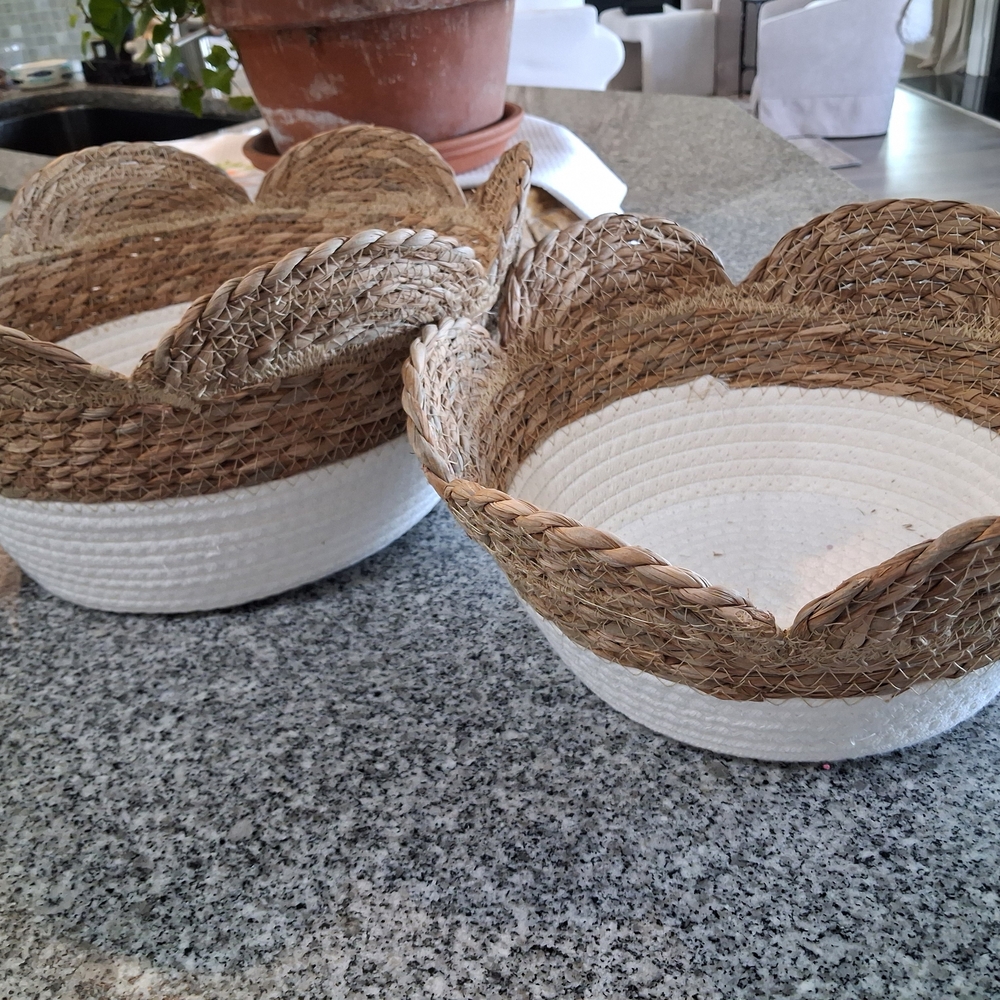 NWT SEAGRASS & ROPE SCALLOPED BASKET SET